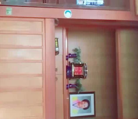 チノちゃんこと箒ちゃん