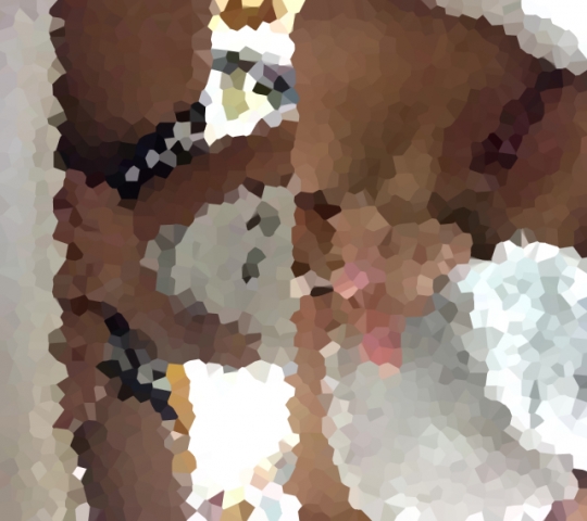 CかなりのSSS美少女のlive