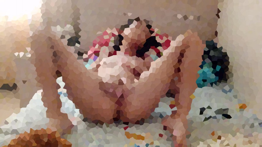 期間限定。今だけお得な地鶏パック。