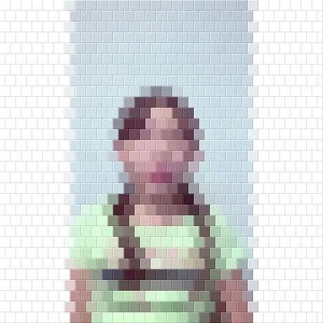 S現役Sゆうなぎ(15本）