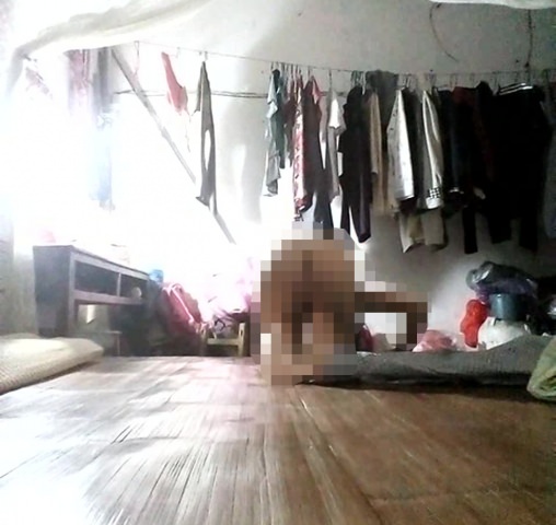 お宝作品限定開放