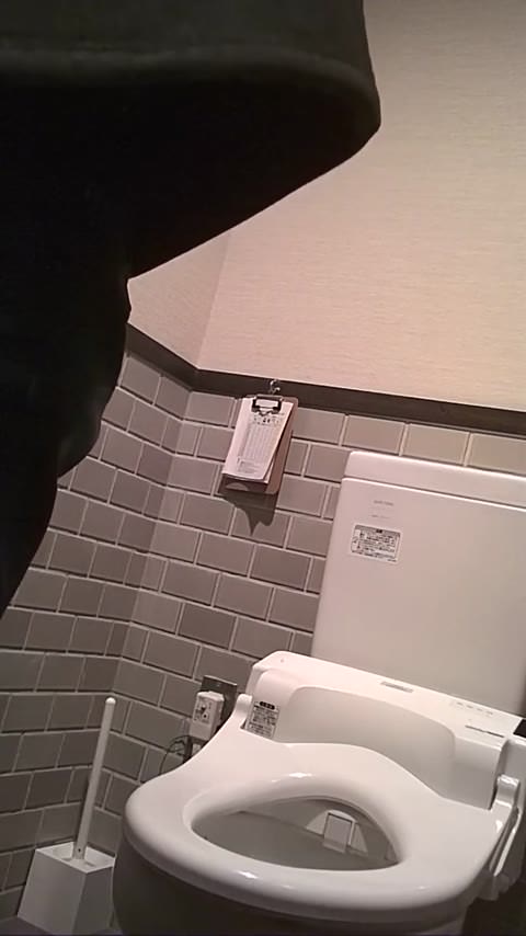 ガチンコトイレ