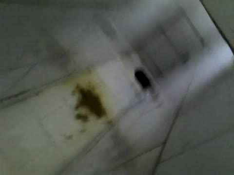 公衆便所での下痢※バレ有※
