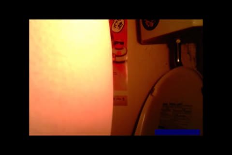 トイレ浪漫映像『ポチャ娘大集合』