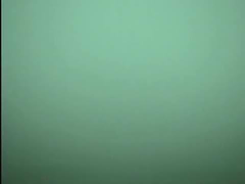 居酒屋トイレ①