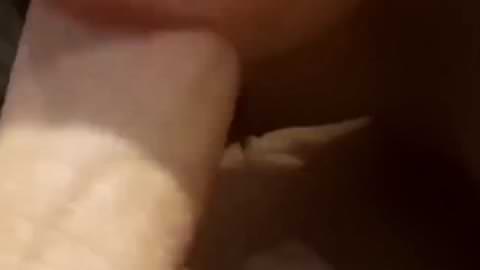 リークされた映像…期間限定割引