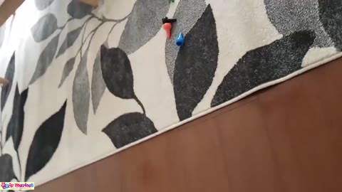 目の前に子供がいるのに？　これは不倫？それとも夫婦？