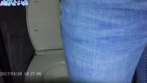 山の公衆トイレ・国際編②