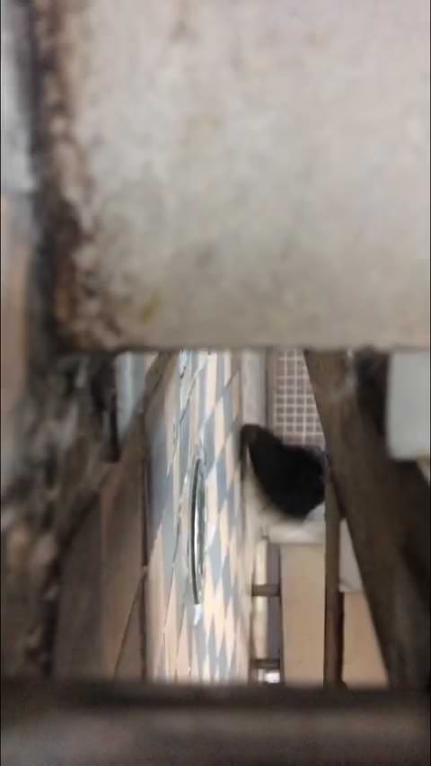 （無）いまどきのイケてる美女の 2019撮って出し　和式トイレ　フリーハンド