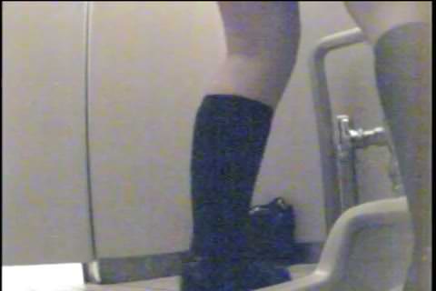 体育館トイレ　水兵さん