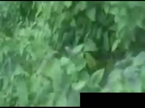 レイプ魔に遭遇した女二人