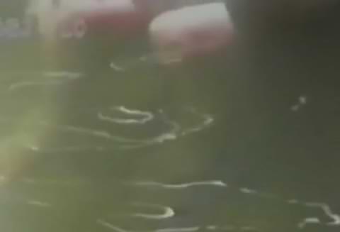 伝説の露天風呂(廃盤作品低価格）