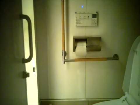 トイレの神様シリーズ66