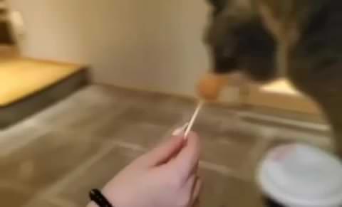 【シリーズ①】爆乳女子♪細いのにむっちり体系♪序章から楽しめます♪