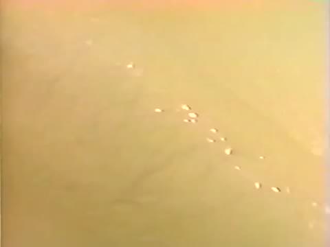 【無】　うさぎとかめ 小鳩美愛　【旧作】