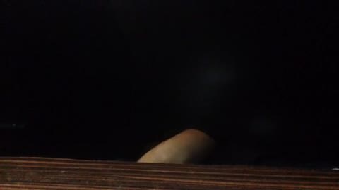 実録☆ナンパでネカフェハメ撮り