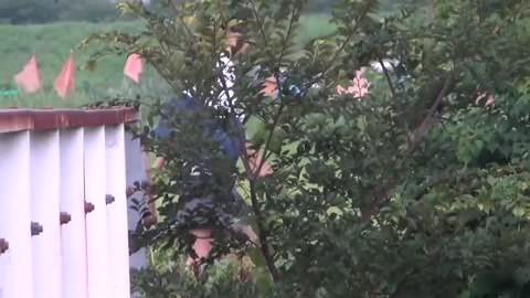 通学路で野外おしっこ4