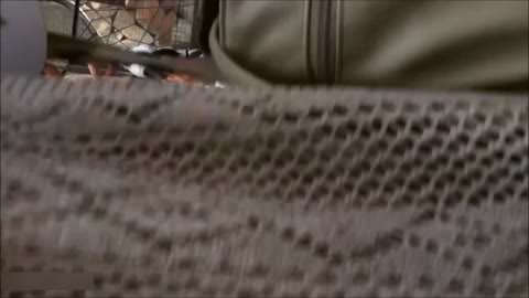 デカ乳♡超絶美少女を隠し撮り♡