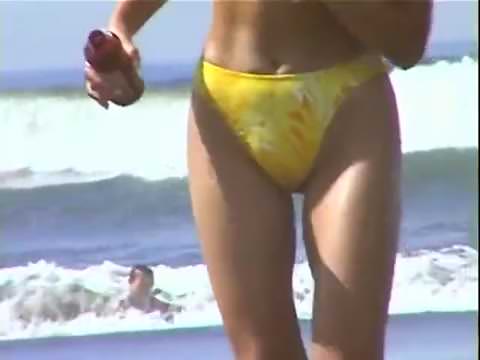 いろいろ見てきました。