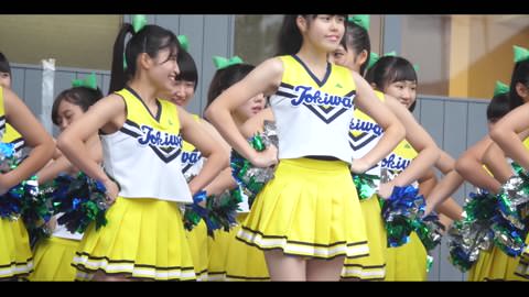 期間限定 マイスター143