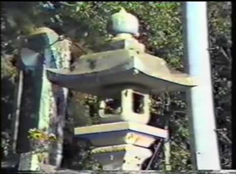 【無】　黒い菊　田口ゆかり　【旧作】