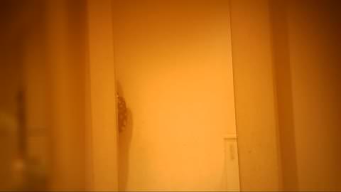 ◎期間限定◎ ≪≪愛らしい～女の子≫≫