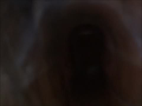 １月２４日の出来事 　デジカメで　修正済