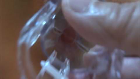 一昨日（３．１２）の逢瀬　デジカメで　修正済