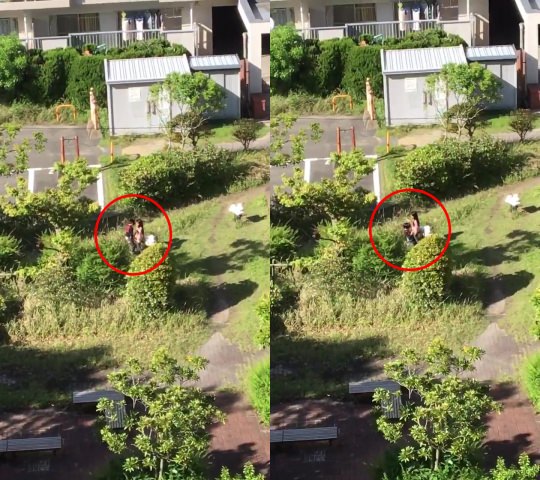 屋外で働く学生